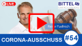 54 - Zwischen Nudging und Nebenwirkungen - Zusammenfassung von BittelTV & Reiner Füllmich